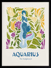 Aquarius Rectangle Poster Framed Art Print