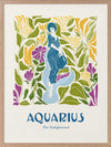 Aquarius Rectangle Poster Framed Art Print