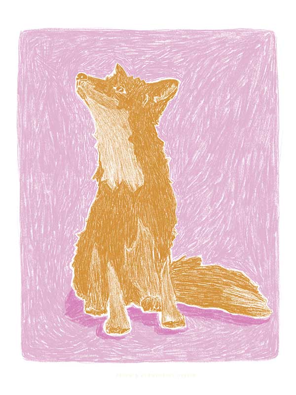 Spirit of the Fox Canvas Art Print