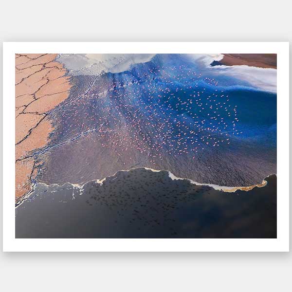 Flock Together Unframed Art Print