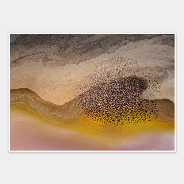 Fly By Lake Unframed Art Print