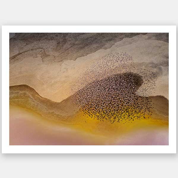 Fly By Lake Unframed Art Print