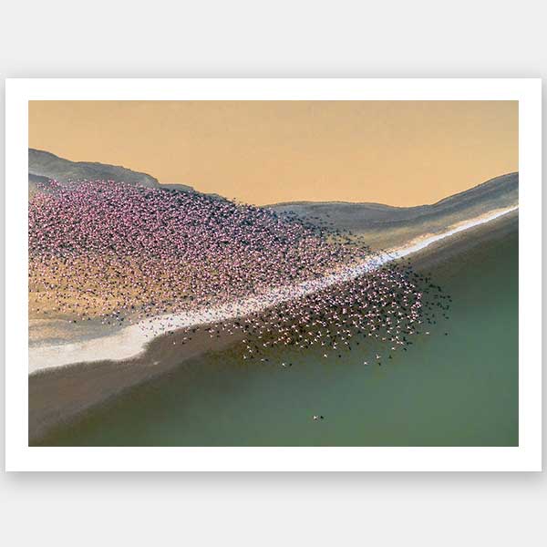 Gone with the Wind Unframed Art Print