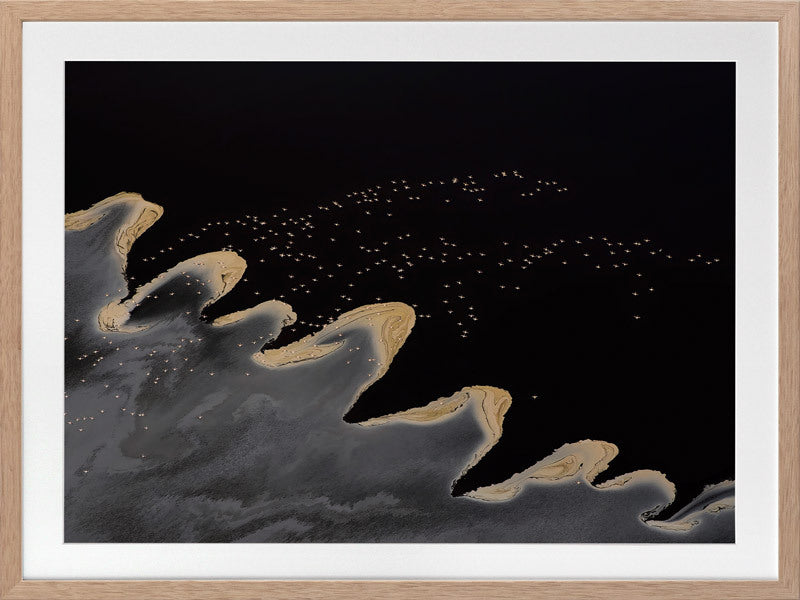 Fly Away Home Framed Art Print