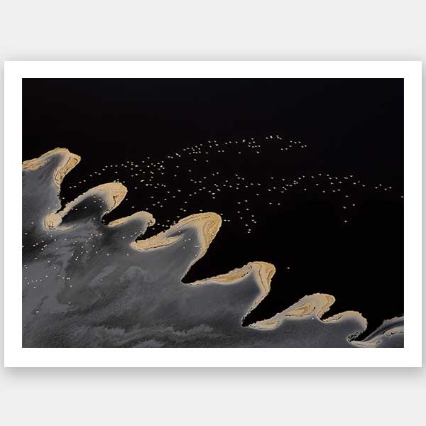 Fly Away Home Unframed Art Print