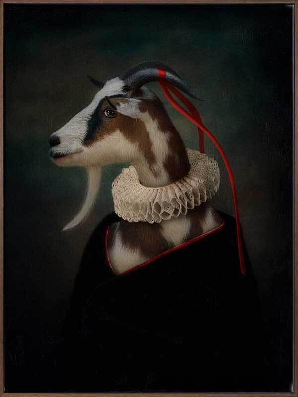 Renaissance Goat Canvas Art Print