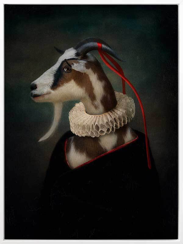 Renaissance Goat Canvas Art Print