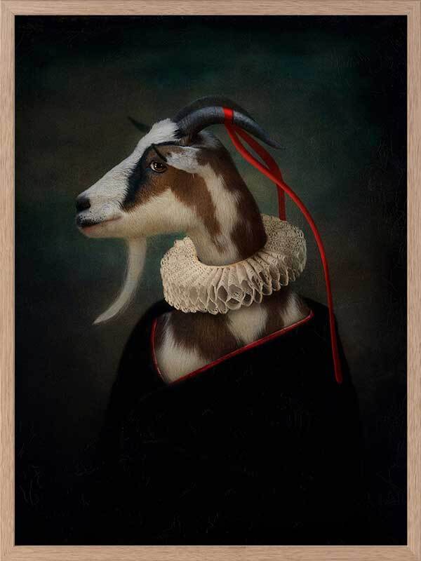 Renaissance Goat Canvas Art Print