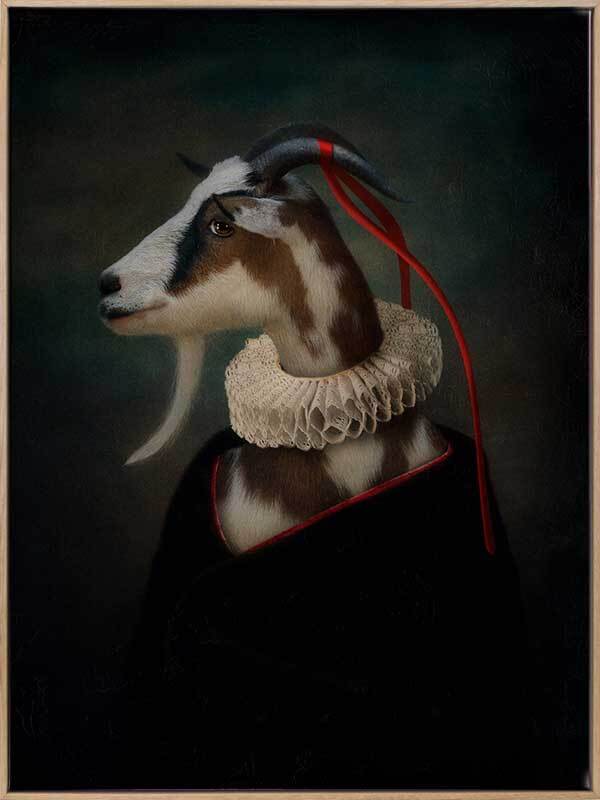 Renaissance Goat Canvas Art Print