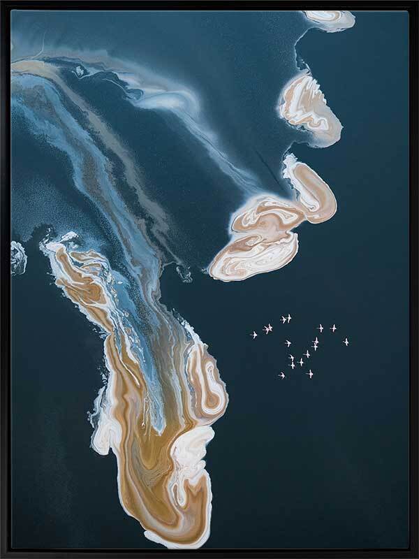 Birds Eye View - Black Box Frame Canvas - 22.5x30 - Portrait - Sale