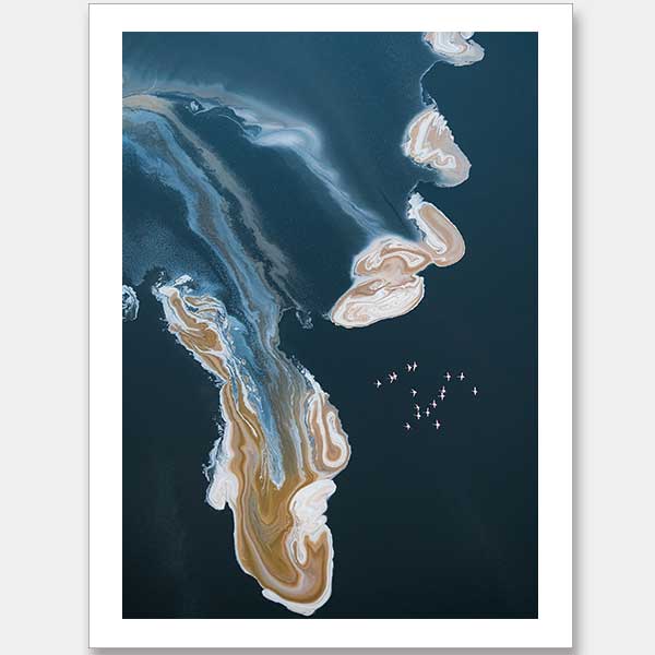 Birds Eye View Unframed Art Print