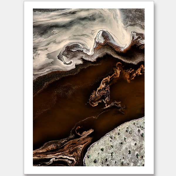 Bronze Vista Unframed Art Print