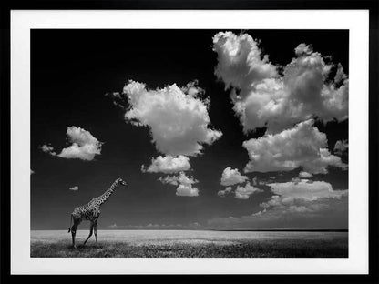 A Long Walk Home Framed Art Print