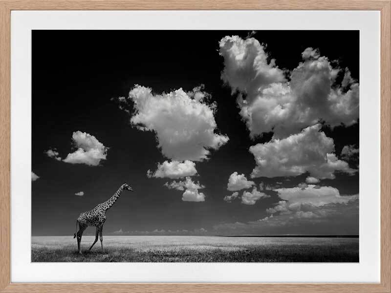 A Long Walk Home Framed Art Print