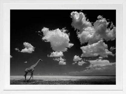 A Long Walk Home Framed Art Print