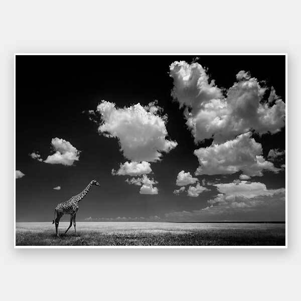 A Long Walk Home Unframed Art Print