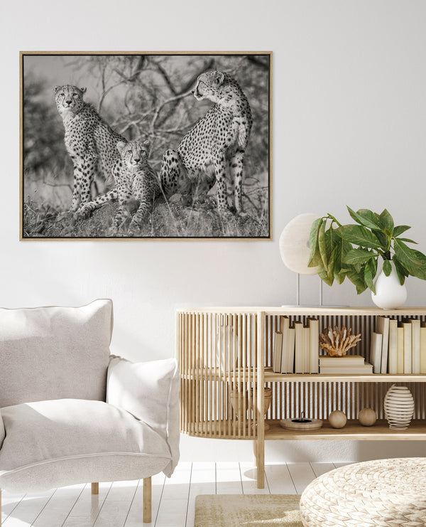 Cheetah Tribe Canvas Art Print | Lifestyle