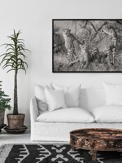 Cheetah Tribe Framed Art Print | Lifestyle