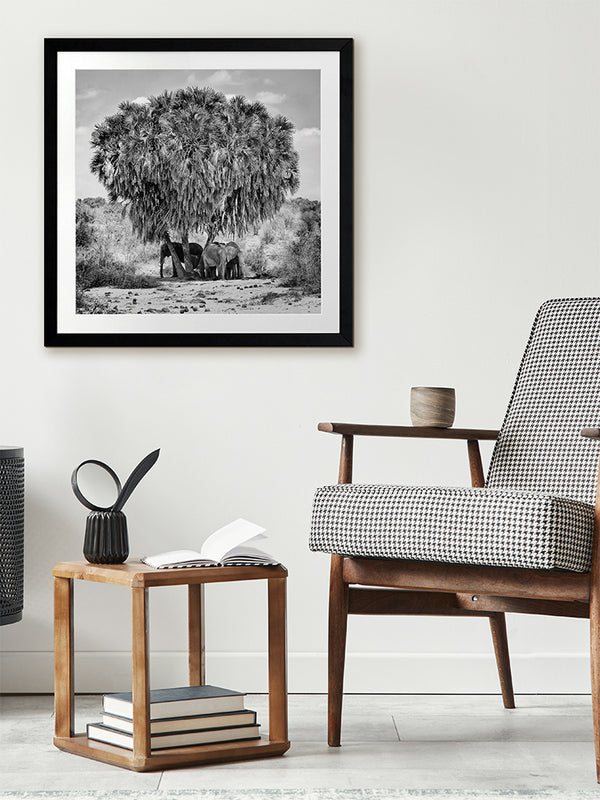 Elephants in Hiding Framed Art Print | Lifestyle