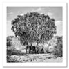 Elephants in Hiding Unframed Art Print