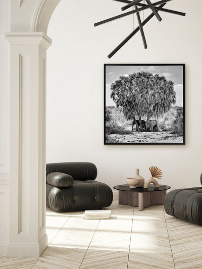 Elephants in Hiding Canvas Art Print | Lifestyle