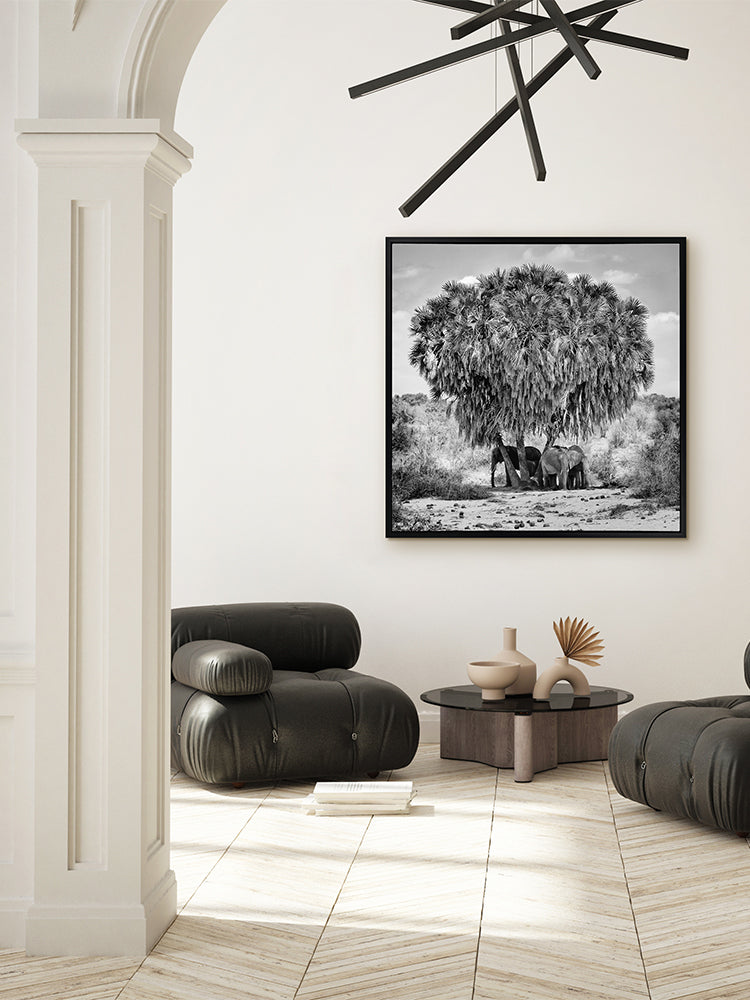 Elephants in Hiding Canvas Art Print | Lifestyle