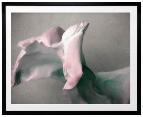 Bloom II Framed Art Print