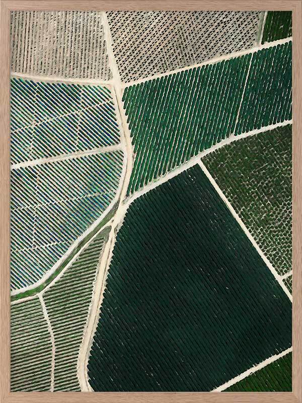 Field of Dreams Framed Art Print