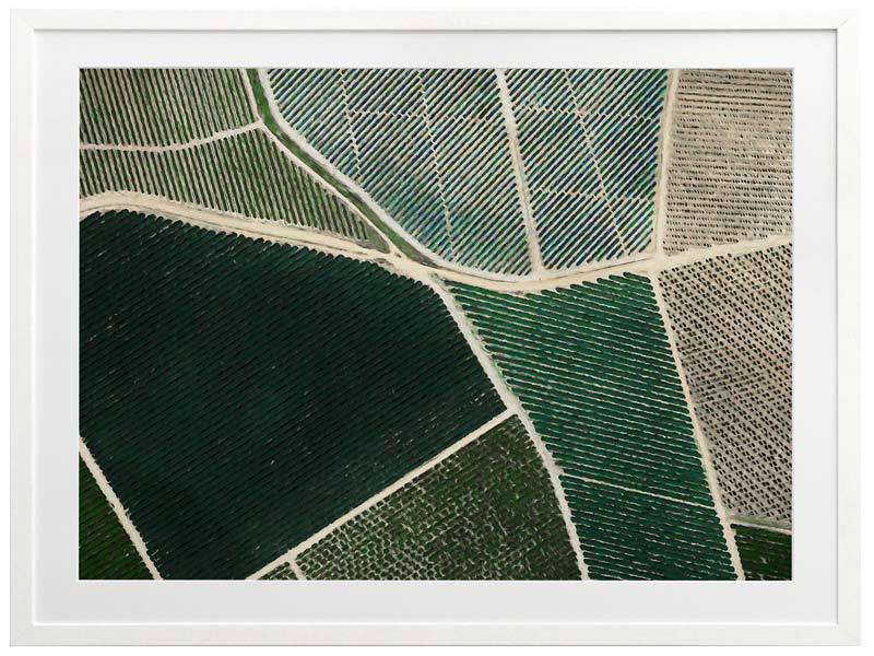 Field of Dreams Framed Art Print