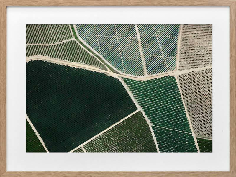 Field of Dreams Framed Art Print