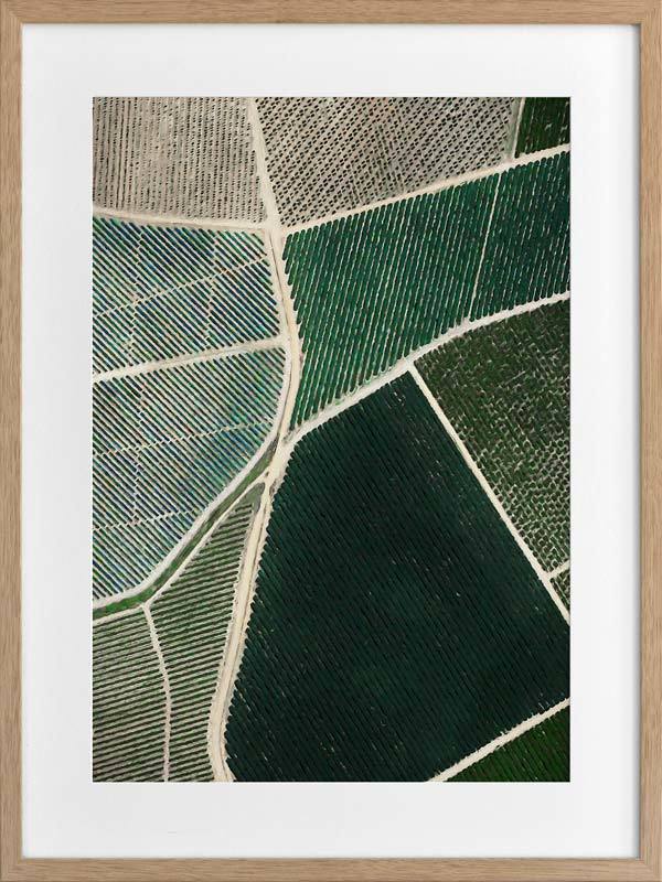 Field of Dreams Framed Art Print