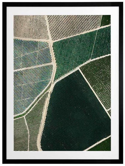 Field of Dreams Framed Art Print