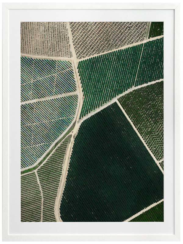 Field of Dreams Framed Art Print