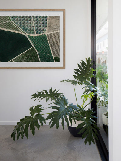 Field of Dreams Framed Art Print | Lifestyle