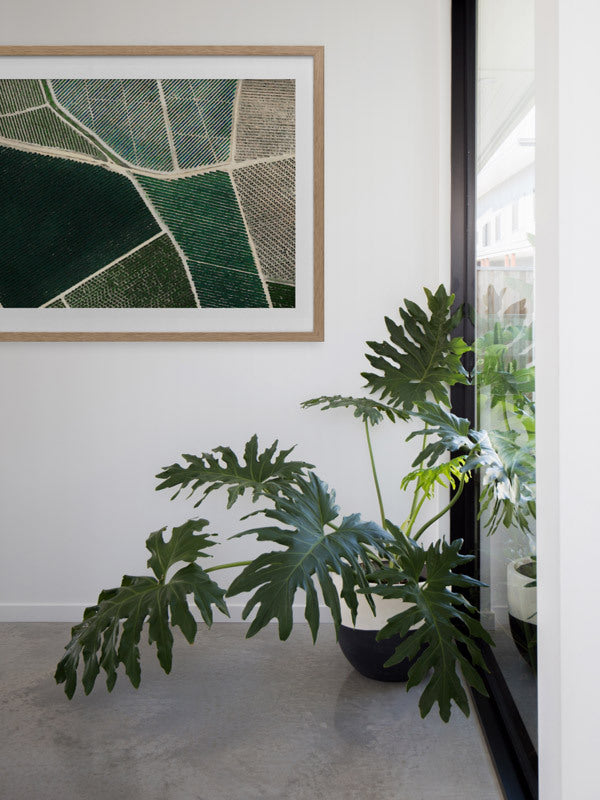 Field of Dreams Framed Art Print | Lifestyle