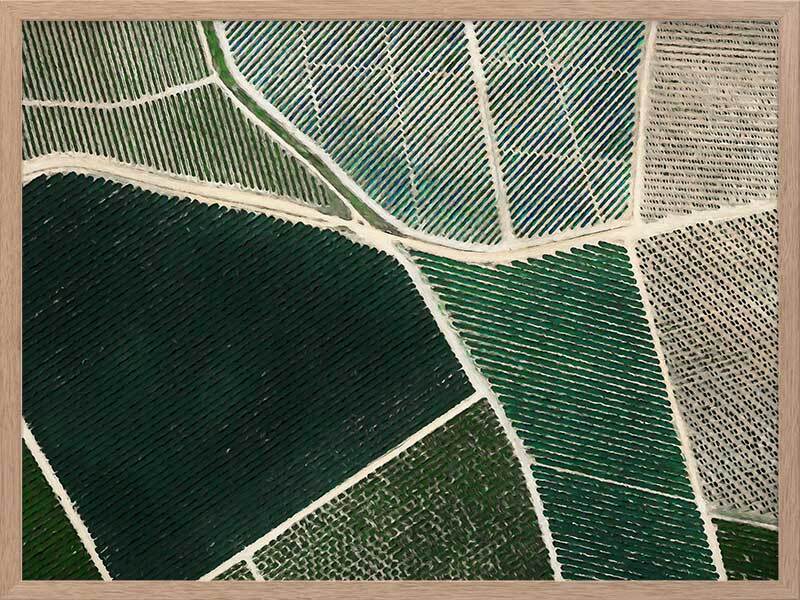 Field of Dreams Framed Art Print