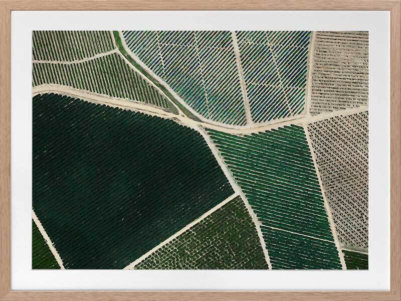 Field of Dreams Framed Art Print