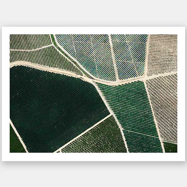 Field of Dreams Unframed Art Print