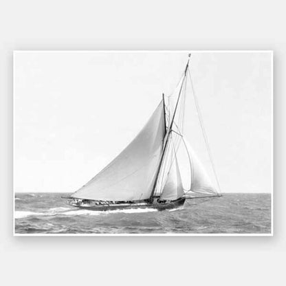 Wind in my Sails Unframed Art Print