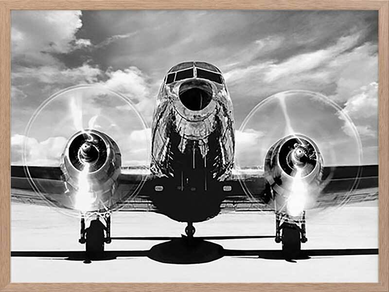 Ready for Takeoff Framed Art Print