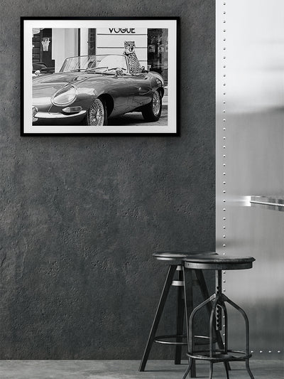 Fashion Cat Framed Art Print | Lifestyle