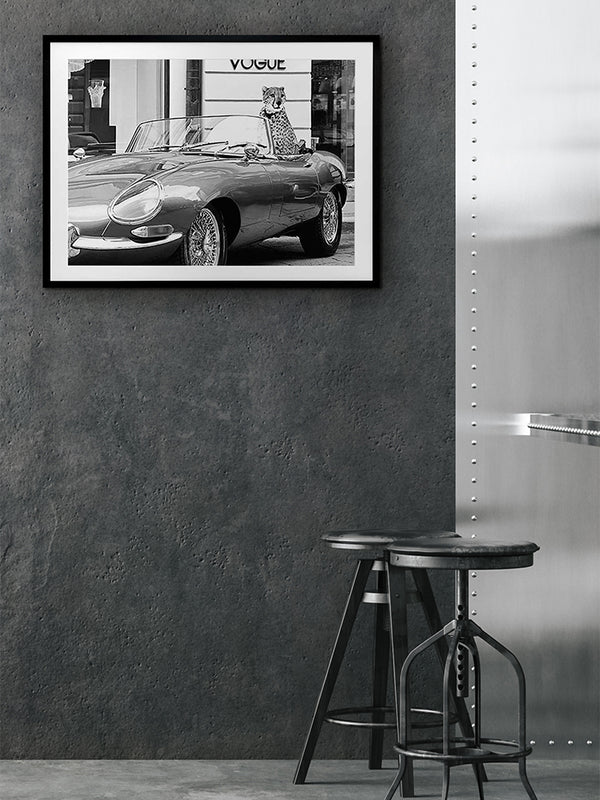 Fashion Cat Framed Art Print | Lifestyle