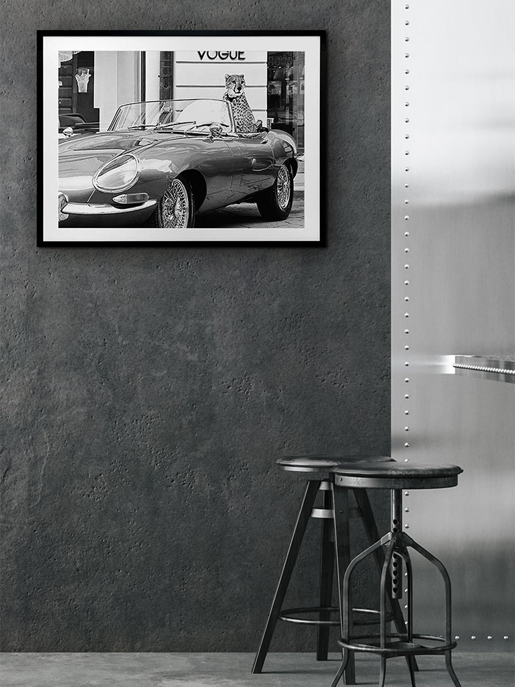 Fashion Cat Framed Art Print | Lifestyle