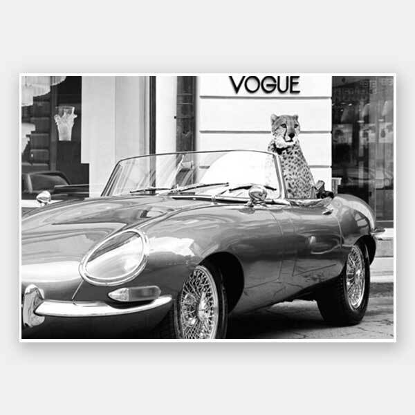 Fashion Cat Unframed Art Print