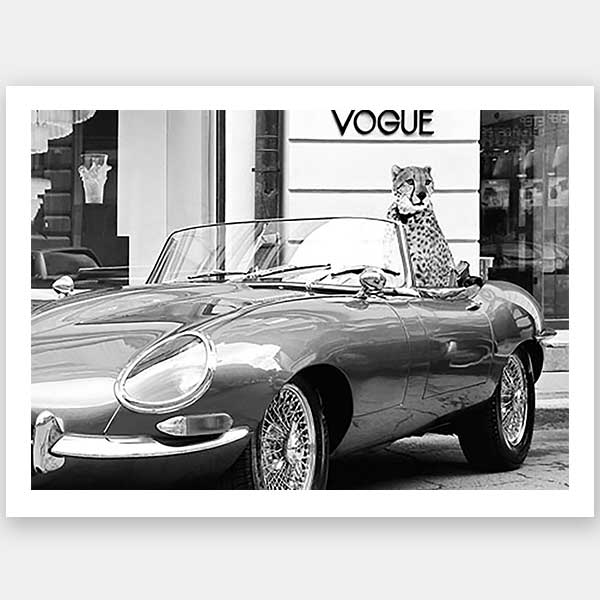 Fashion Cat Unframed Art Print