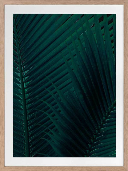 Shade I Framed Art Print