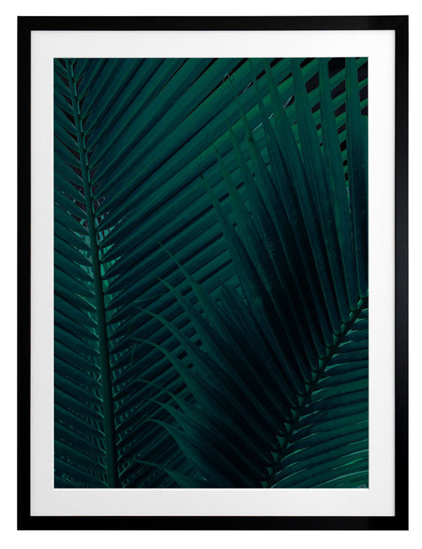 Shade I Framed Art Print