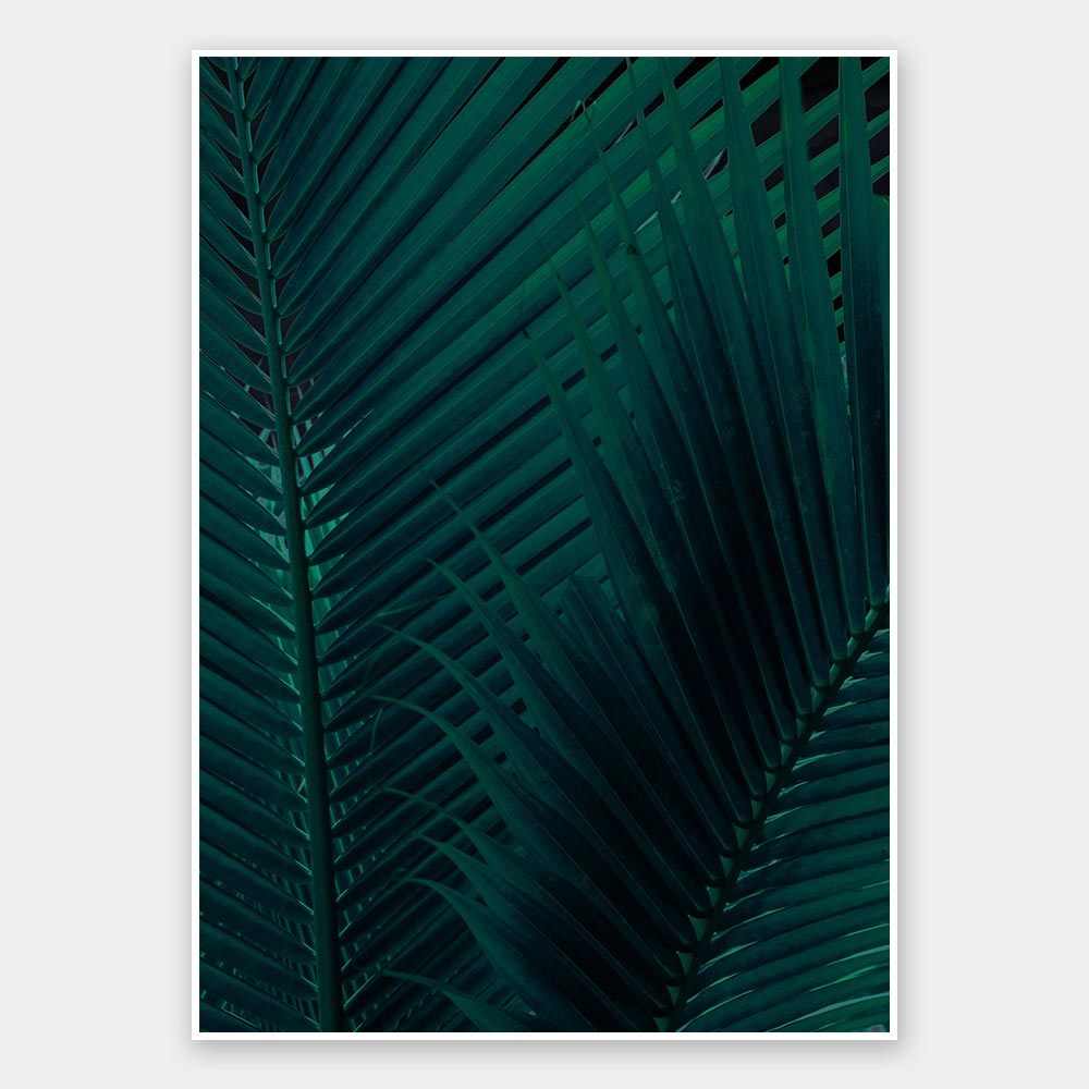 Shade I Unframed Art Print