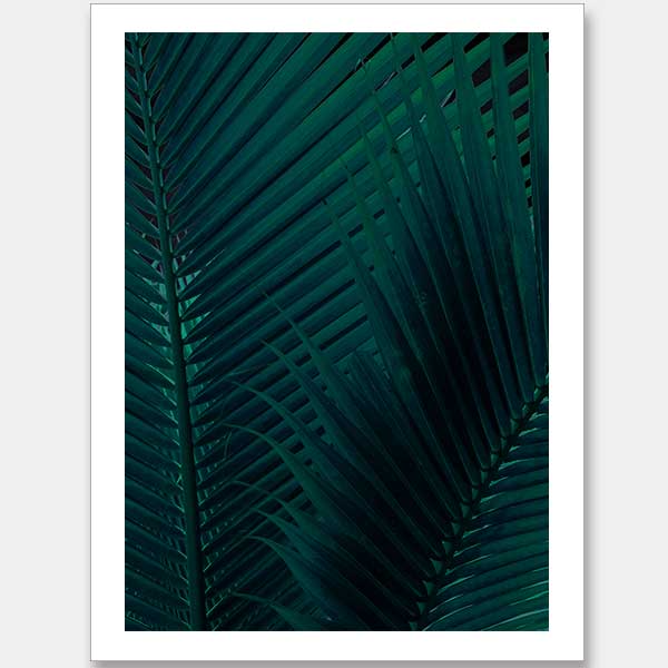 Shade I Unframed Art Print