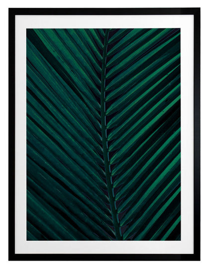 Shade II Framed Art Print